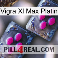 Vigra Xl Max Platinum 01
